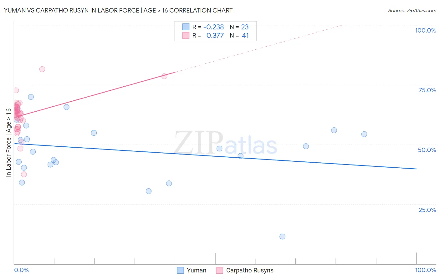 Yuman vs Carpatho Rusyn In Labor Force | Age > 16