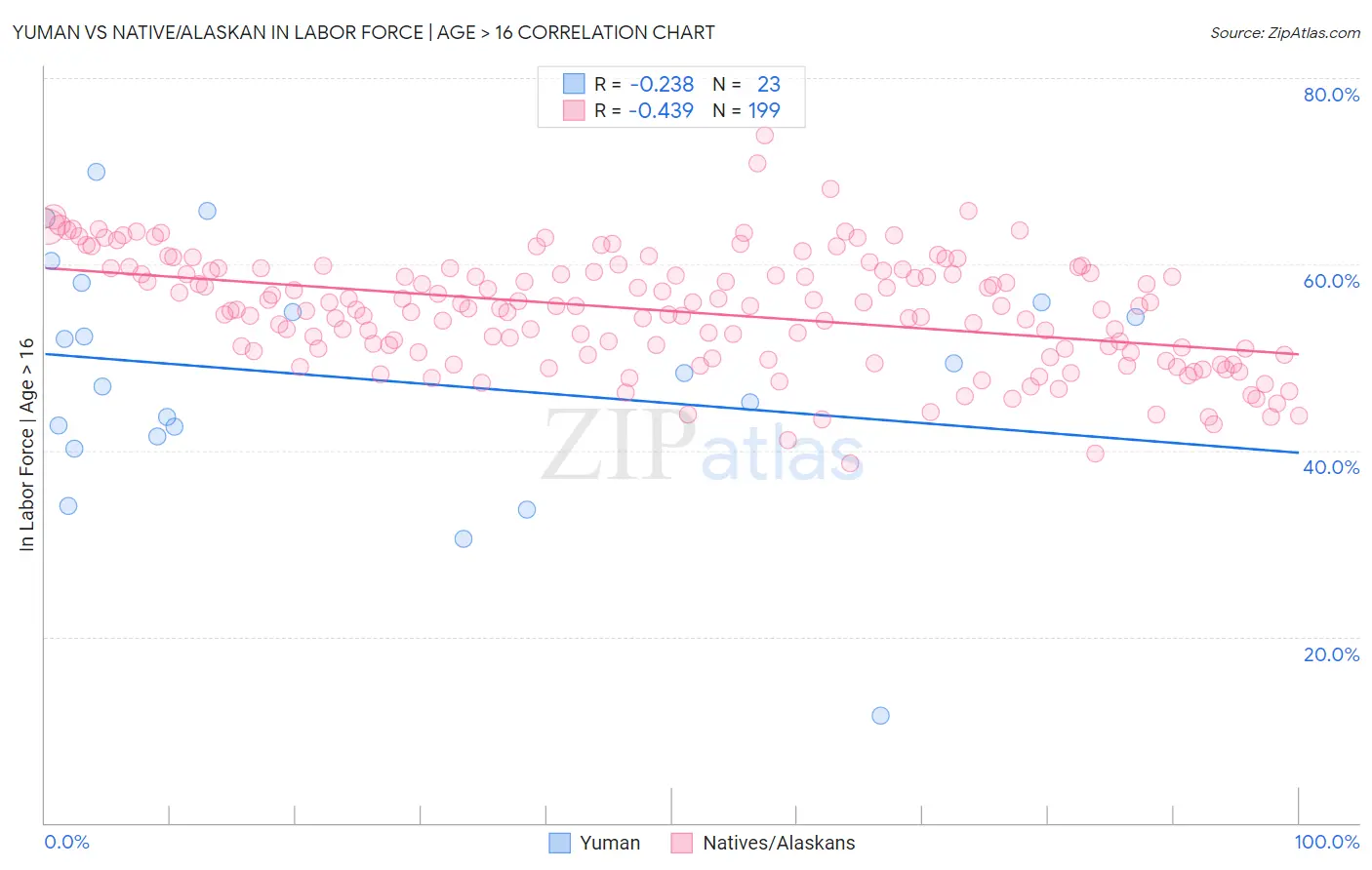Yuman vs Native/Alaskan In Labor Force | Age > 16