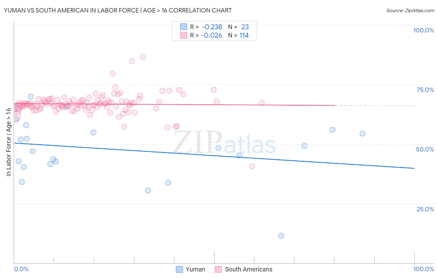 Yuman vs South American In Labor Force | Age > 16