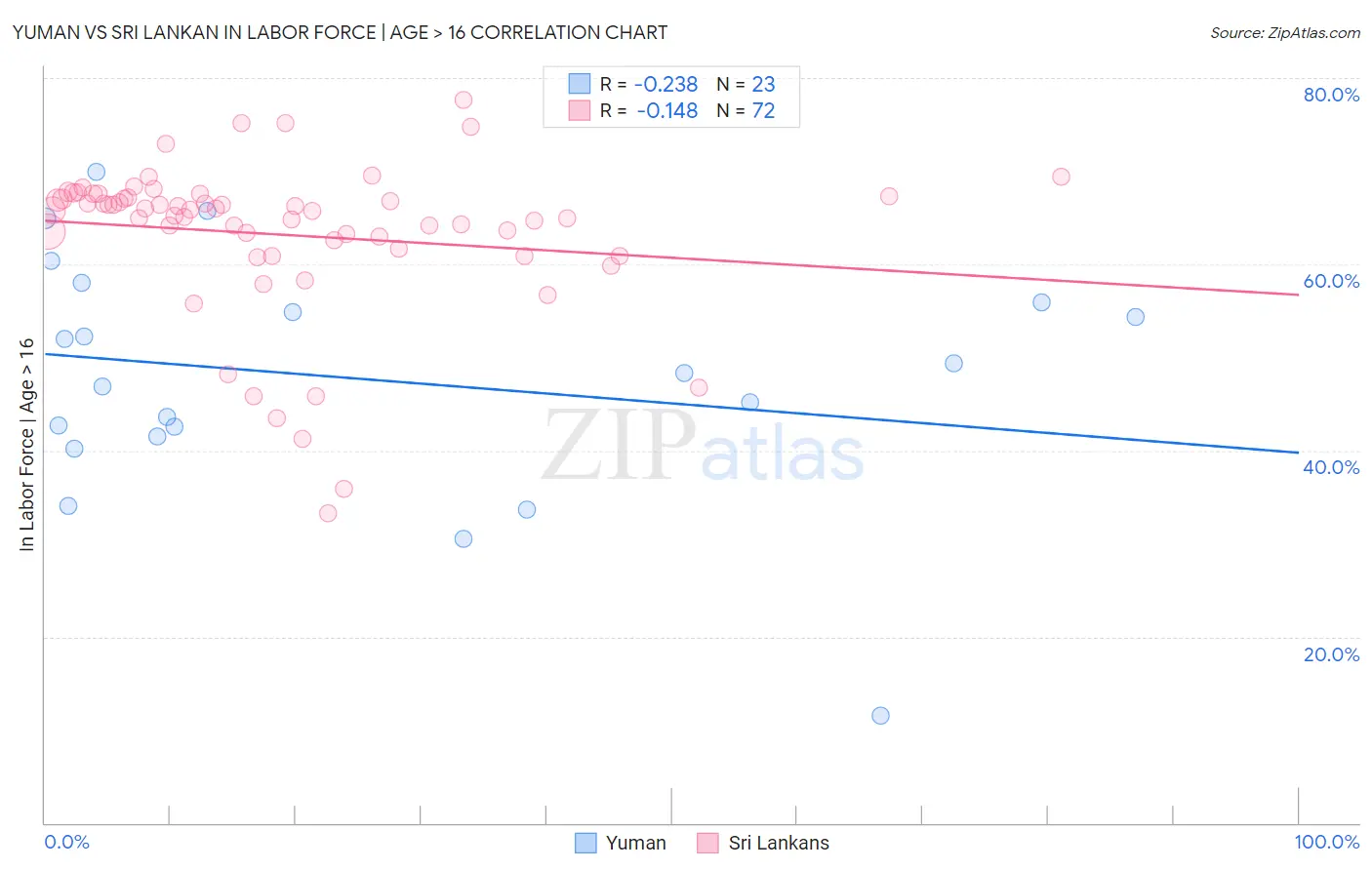 Yuman vs Sri Lankan In Labor Force | Age > 16