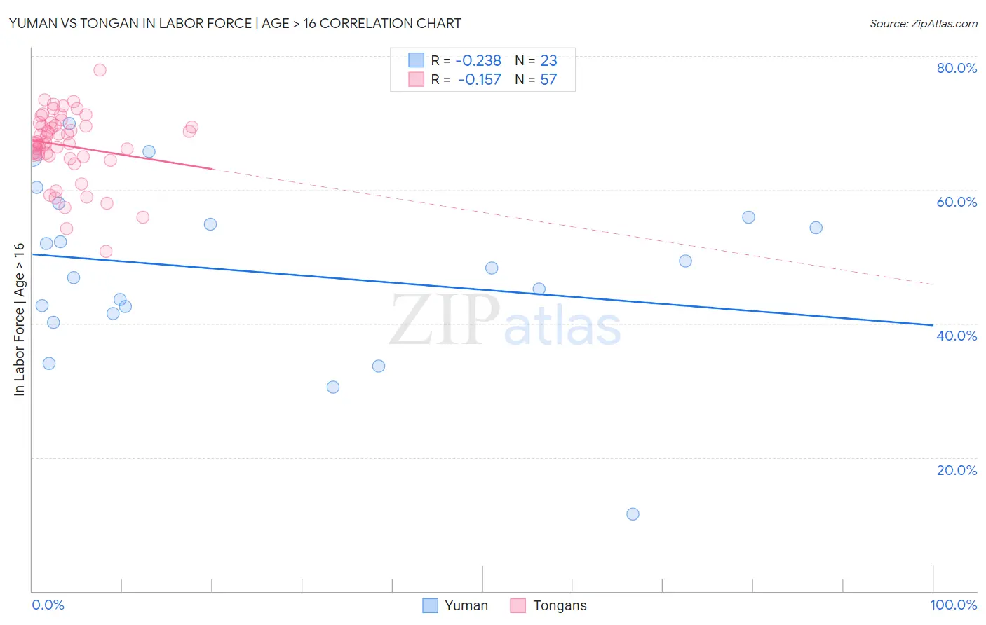 Yuman vs Tongan In Labor Force | Age > 16