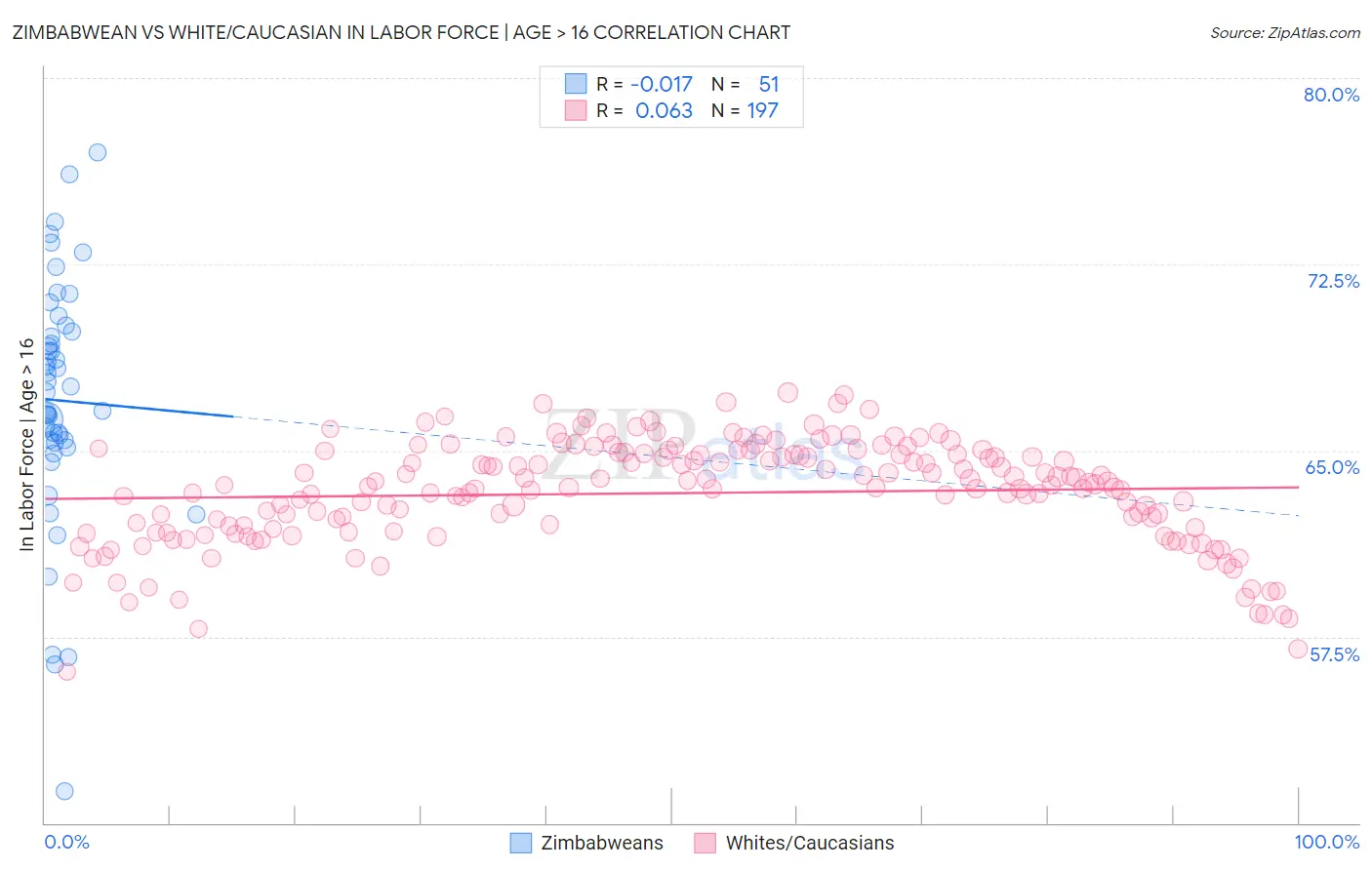Zimbabwean vs White/Caucasian In Labor Force | Age > 16