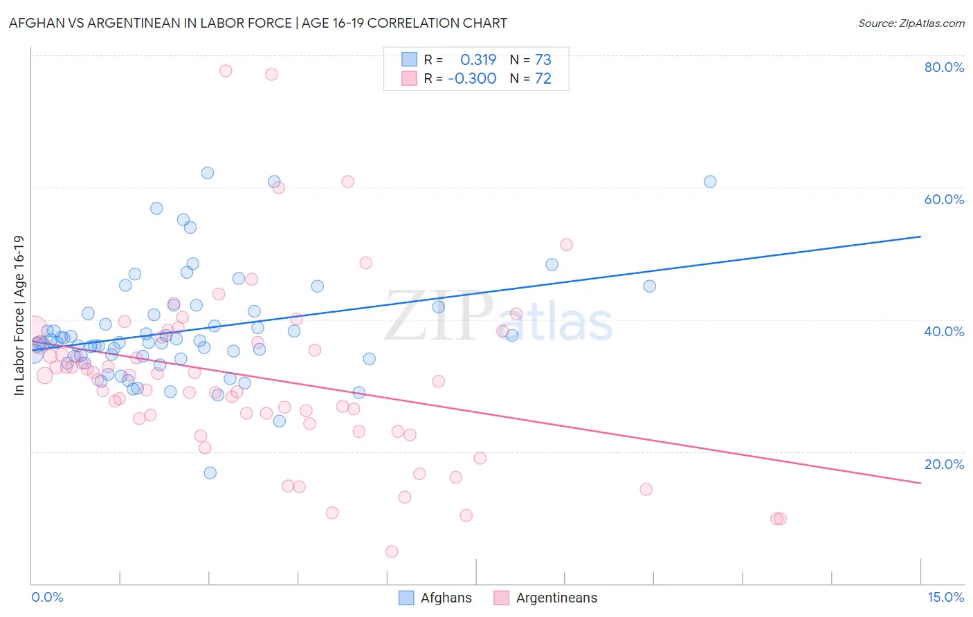 Afghan vs Argentinean In Labor Force | Age 16-19