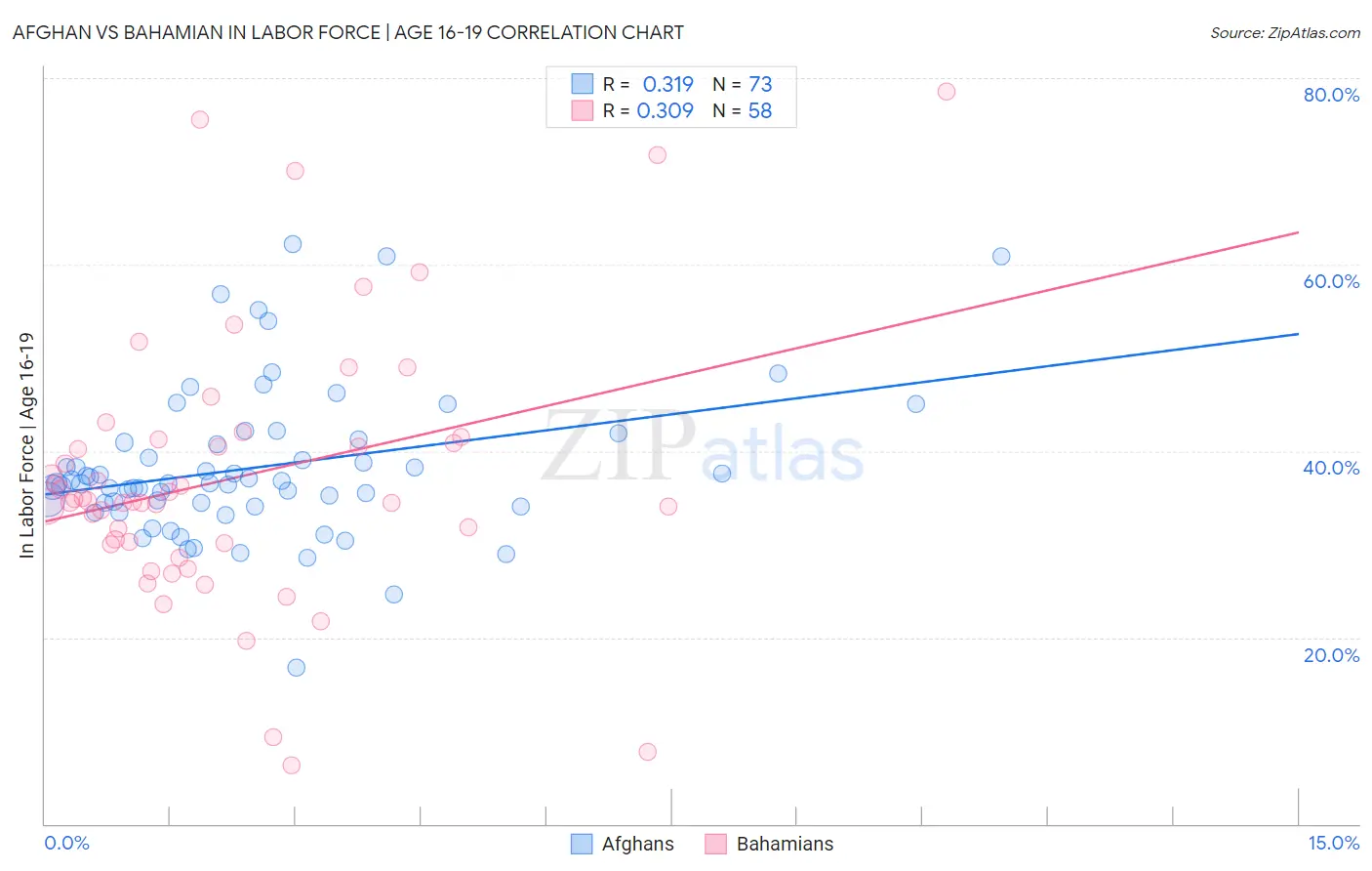 Afghan vs Bahamian In Labor Force | Age 16-19