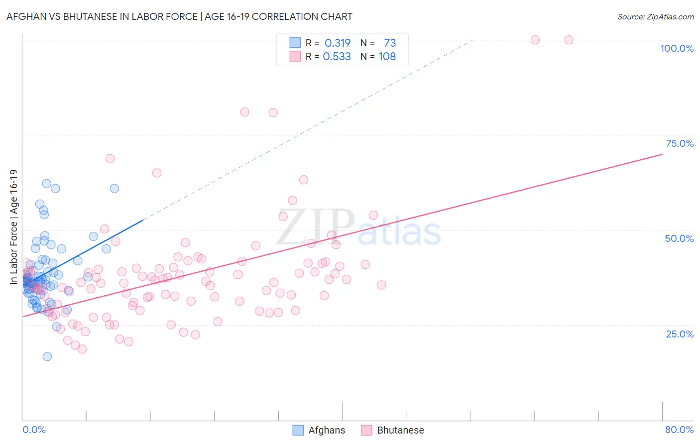 Afghan vs Bhutanese In Labor Force | Age 16-19