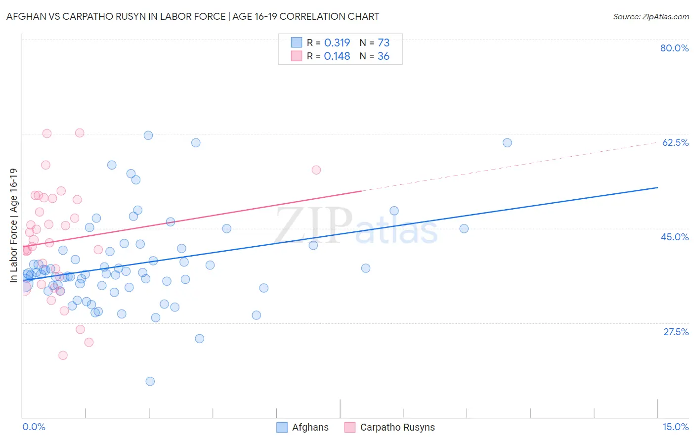 Afghan vs Carpatho Rusyn In Labor Force | Age 16-19