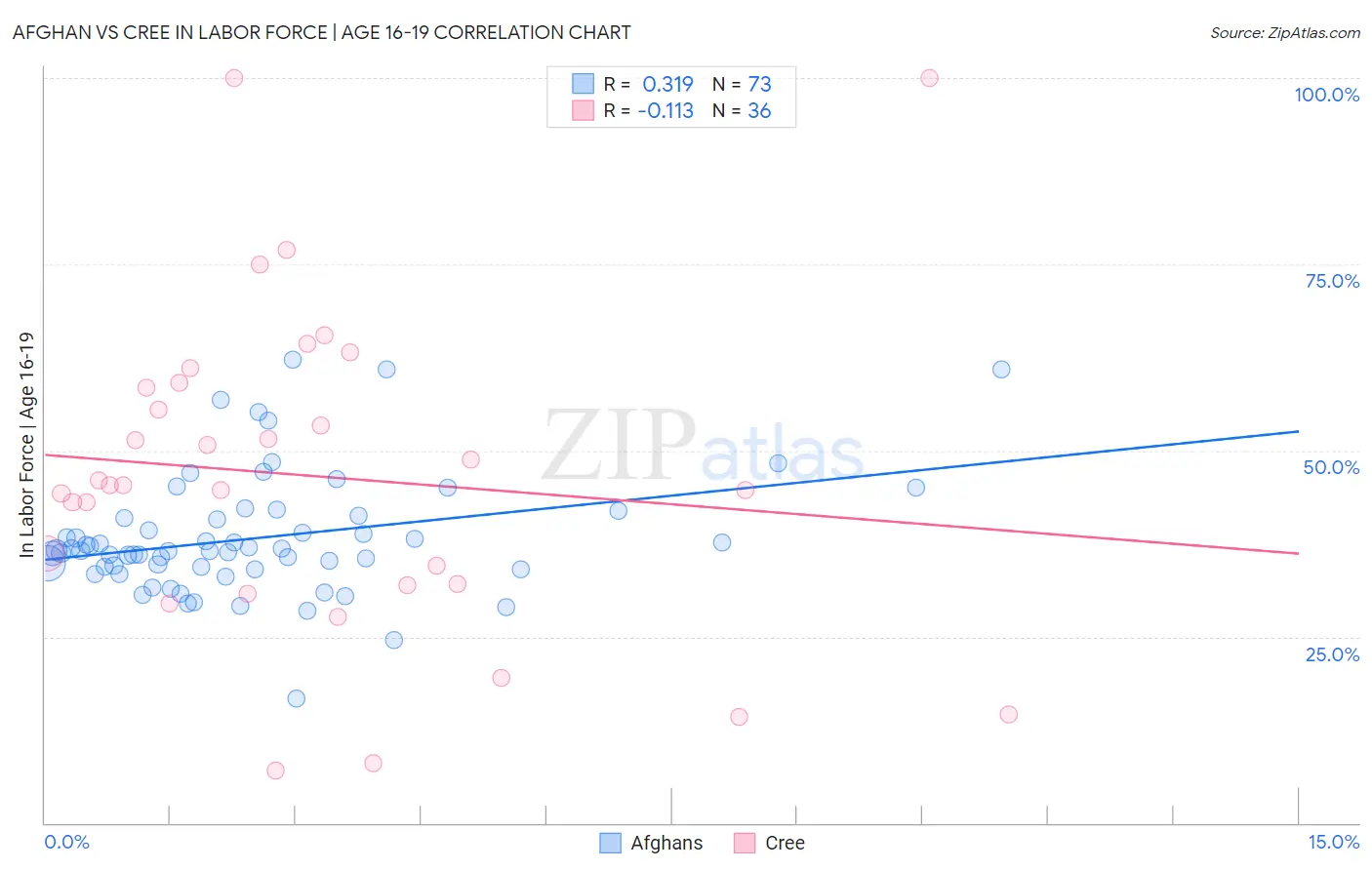 Afghan vs Cree In Labor Force | Age 16-19