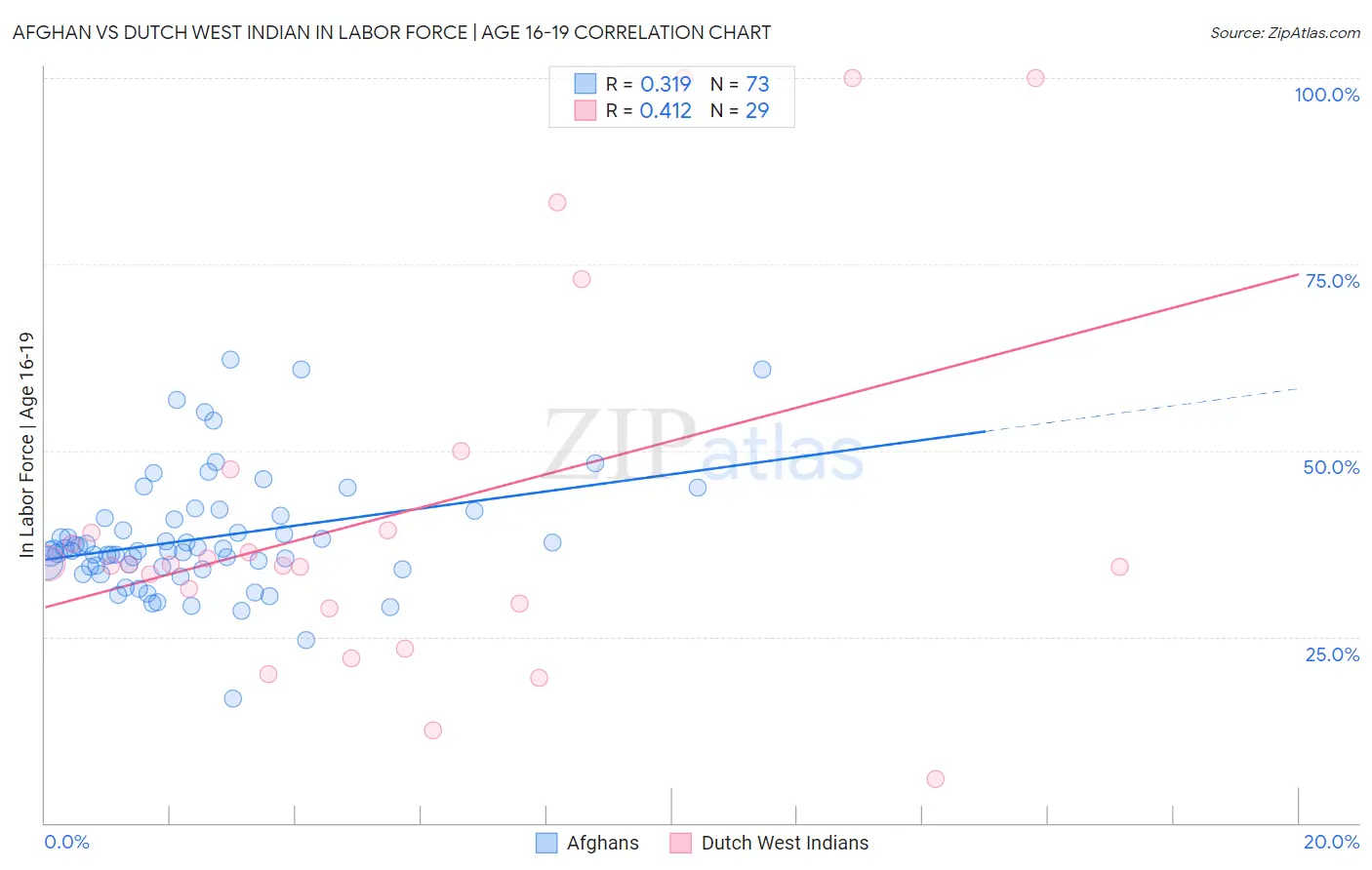 Afghan vs Dutch West Indian In Labor Force | Age 16-19