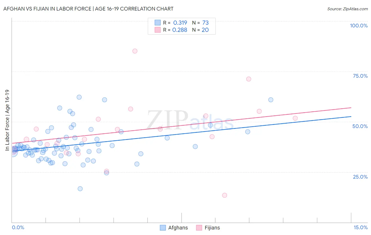 Afghan vs Fijian In Labor Force | Age 16-19