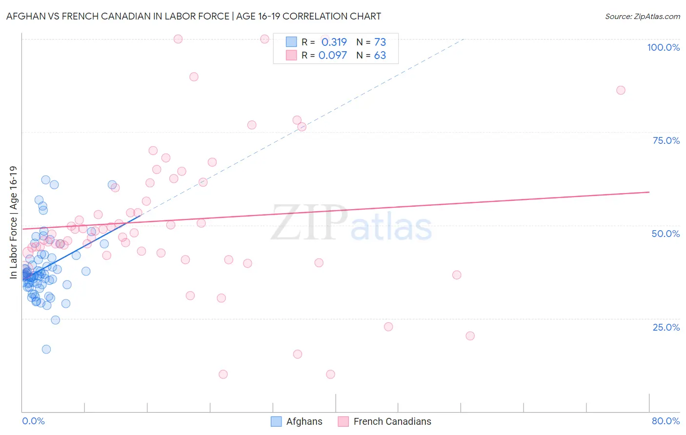 Afghan vs French Canadian In Labor Force | Age 16-19