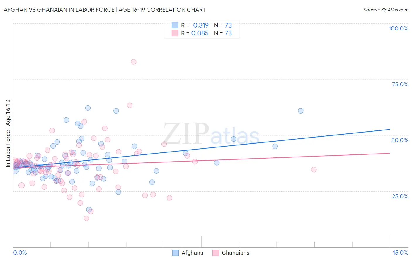 Afghan vs Ghanaian In Labor Force | Age 16-19