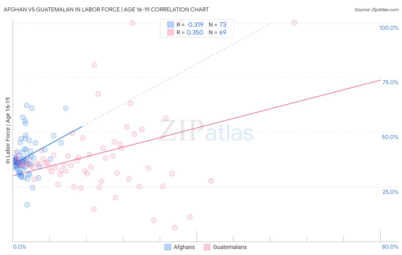 Afghan vs Guatemalan In Labor Force | Age 16-19