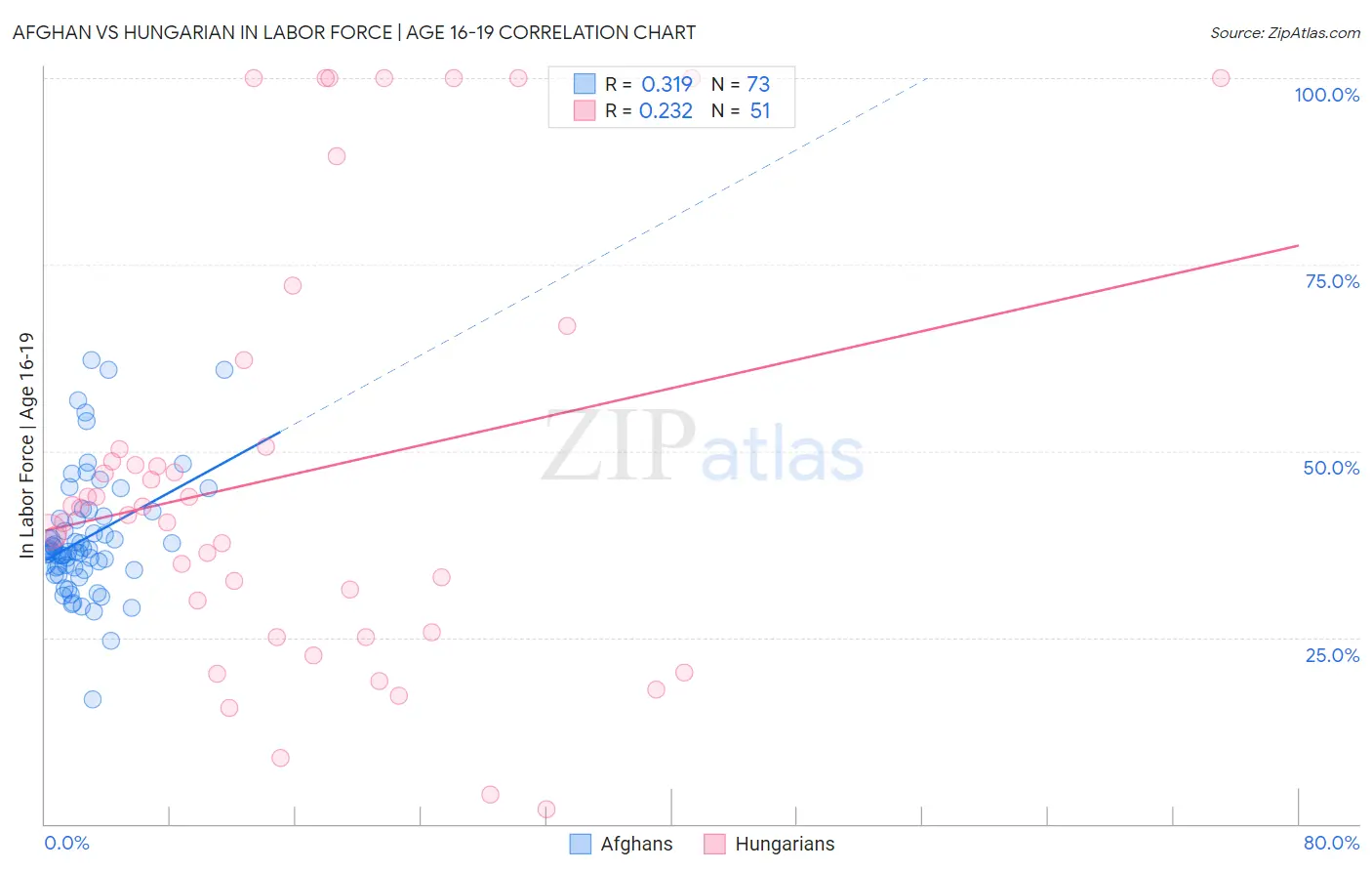 Afghan vs Hungarian In Labor Force | Age 16-19