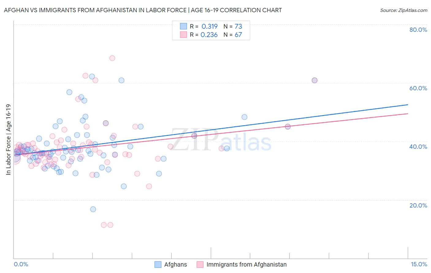 Afghan vs Immigrants from Afghanistan In Labor Force | Age 16-19