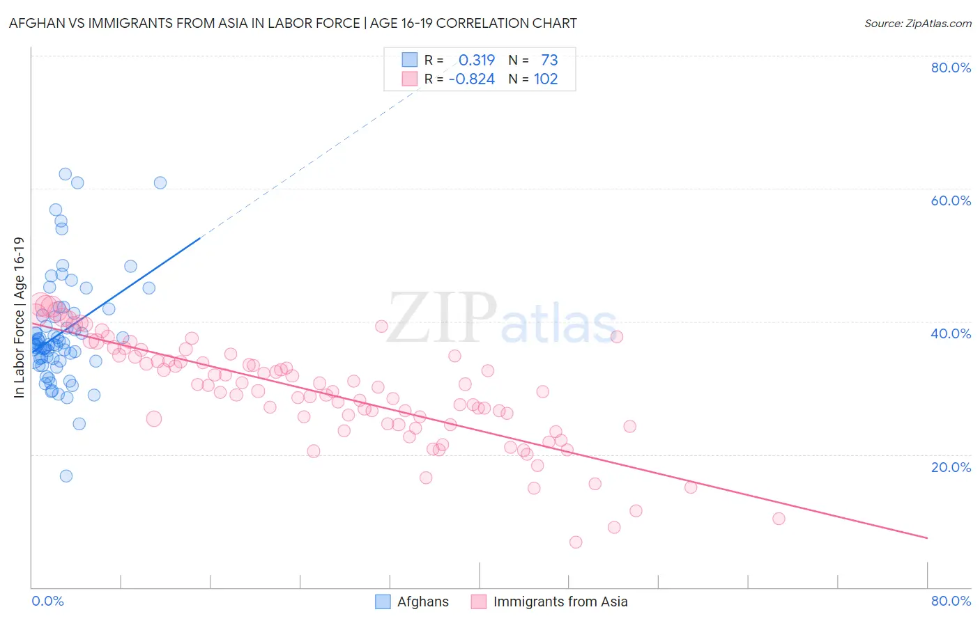 Afghan vs Immigrants from Asia In Labor Force | Age 16-19