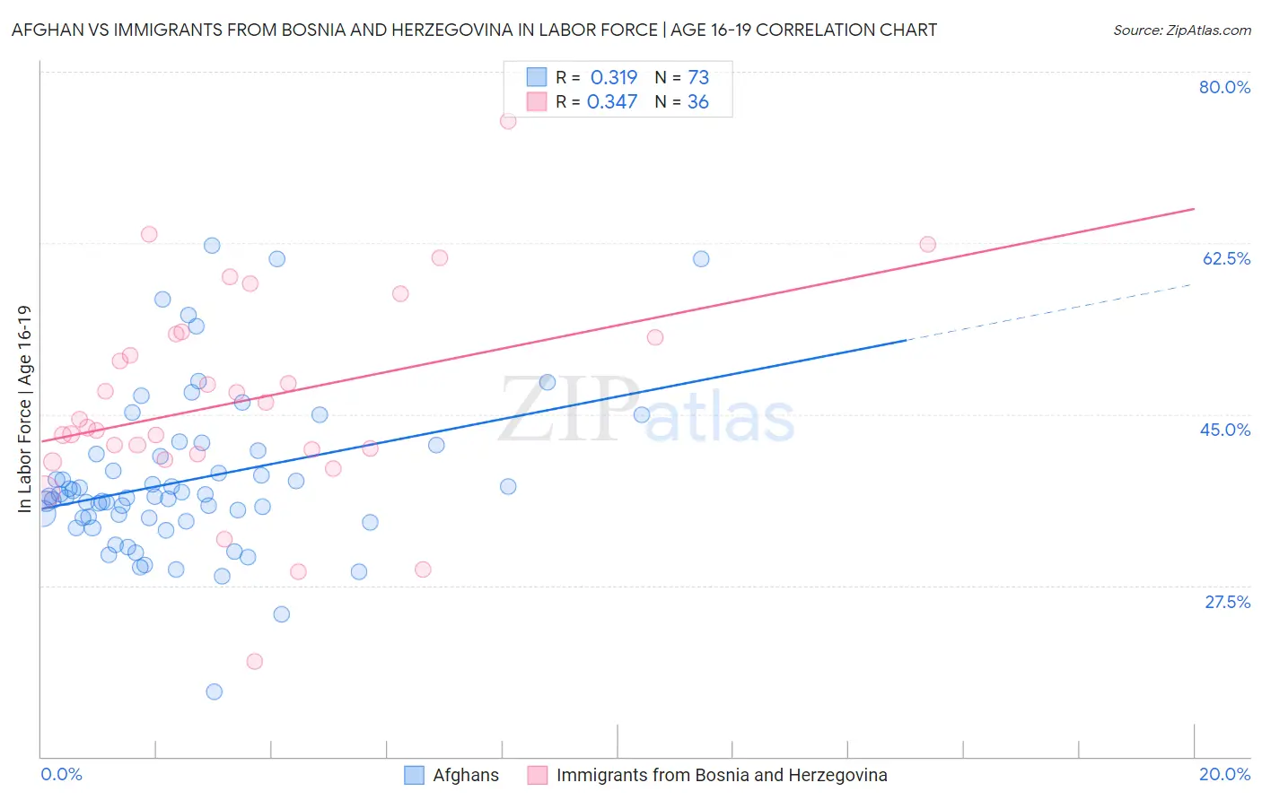 Afghan vs Immigrants from Bosnia and Herzegovina In Labor Force | Age 16-19