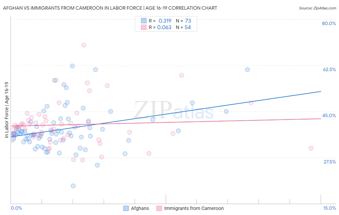 Afghan vs Immigrants from Cameroon In Labor Force | Age 16-19