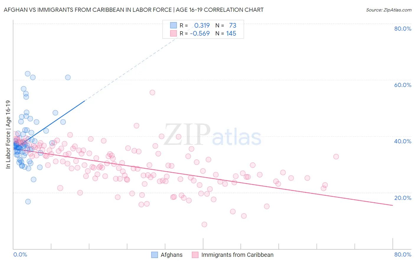 Afghan vs Immigrants from Caribbean In Labor Force | Age 16-19