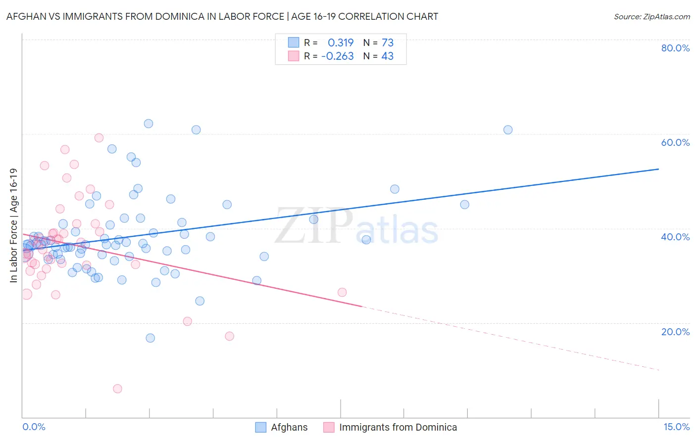 Afghan vs Immigrants from Dominica In Labor Force | Age 16-19