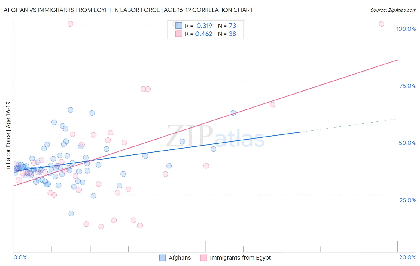 Afghan vs Immigrants from Egypt In Labor Force | Age 16-19