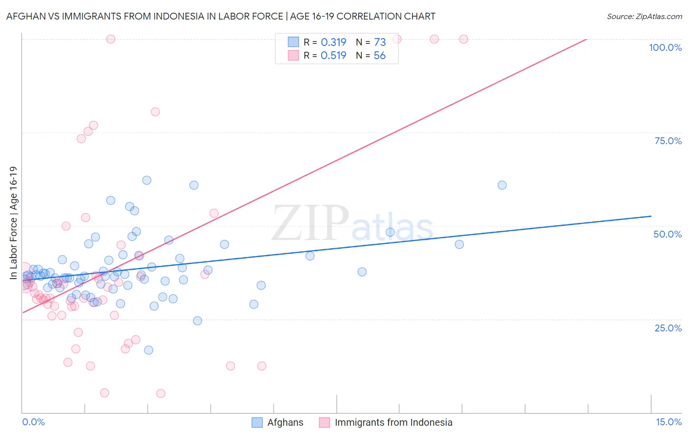 Afghan vs Immigrants from Indonesia In Labor Force | Age 16-19