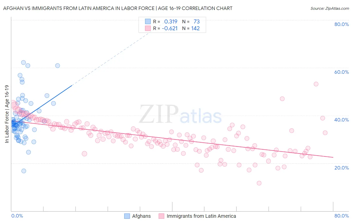 Afghan vs Immigrants from Latin America In Labor Force | Age 16-19