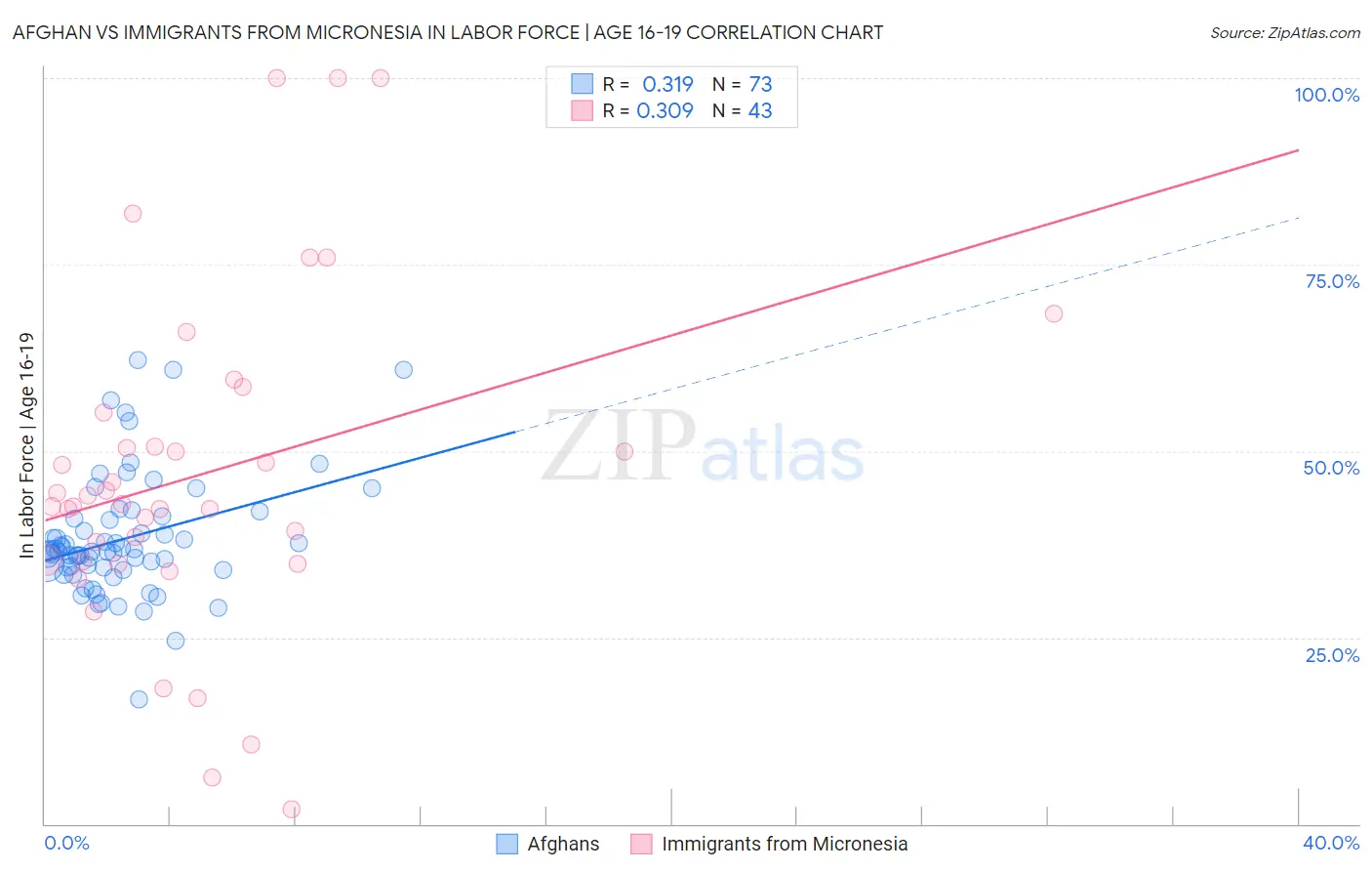 Afghan vs Immigrants from Micronesia In Labor Force | Age 16-19