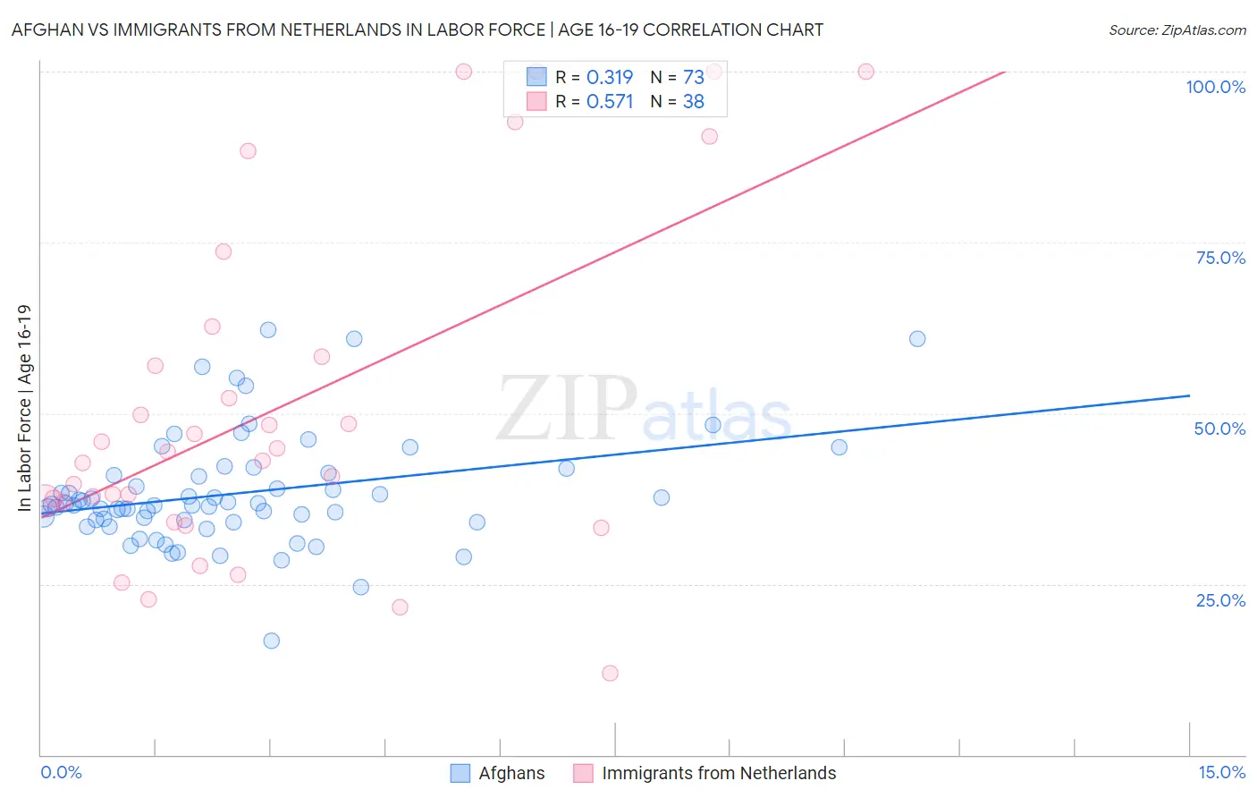 Afghan vs Immigrants from Netherlands In Labor Force | Age 16-19