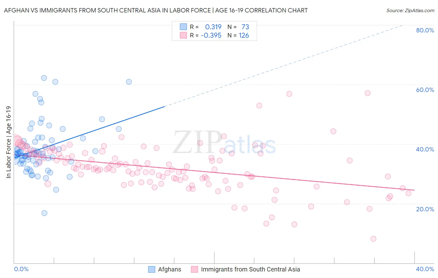 Afghan vs Immigrants from South Central Asia In Labor Force | Age 16-19