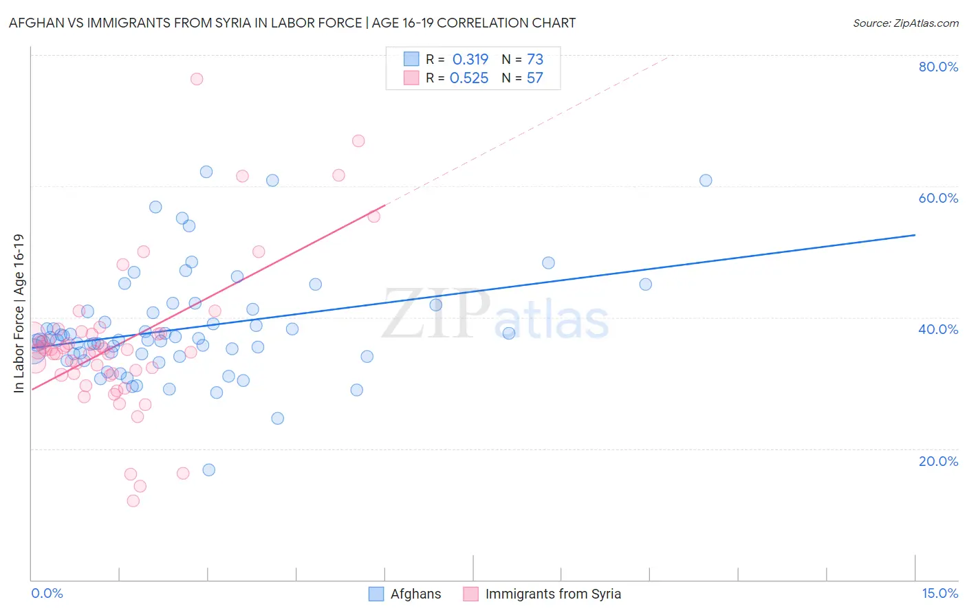 Afghan vs Immigrants from Syria In Labor Force | Age 16-19