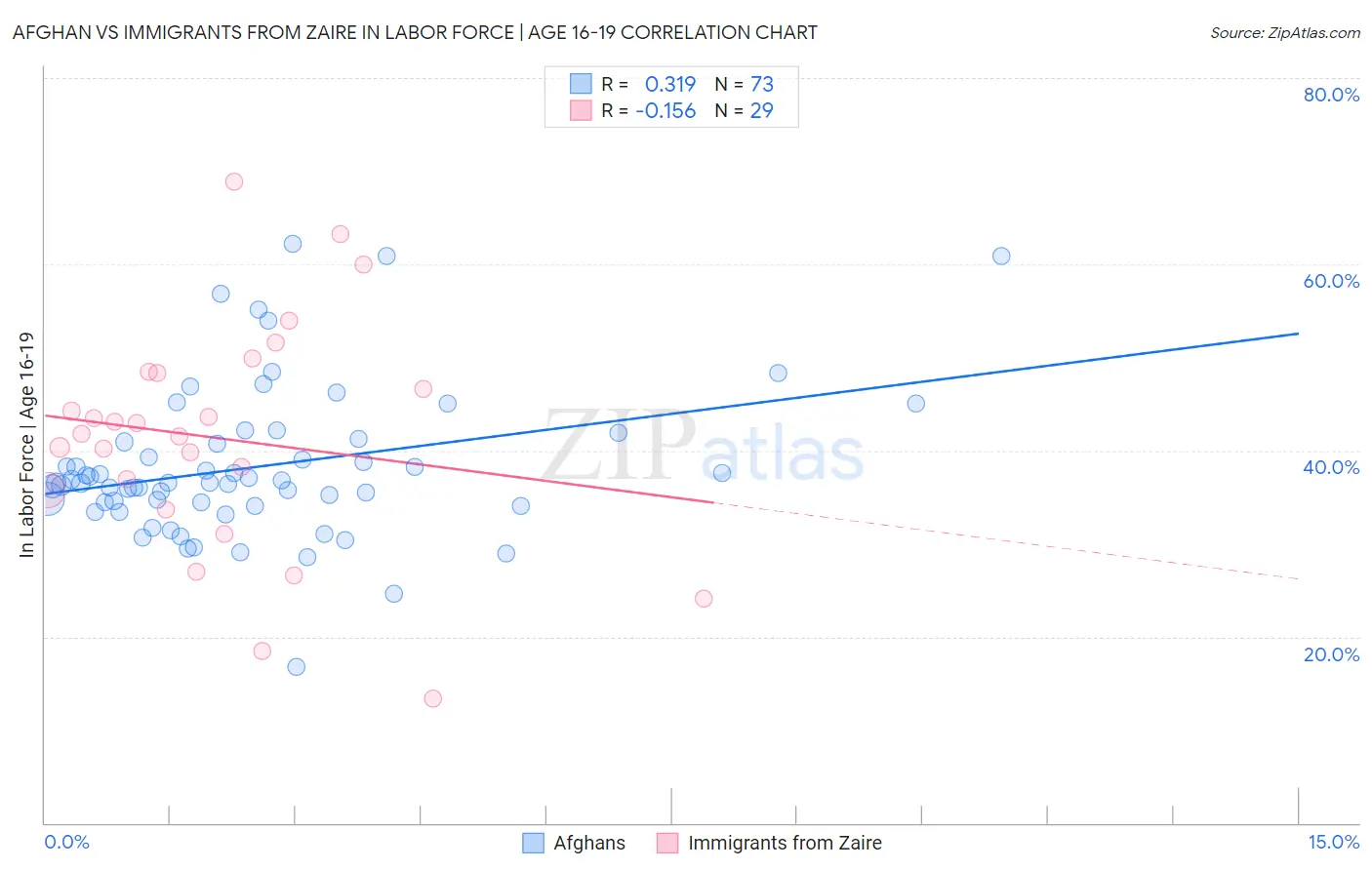 Afghan vs Immigrants from Zaire In Labor Force | Age 16-19