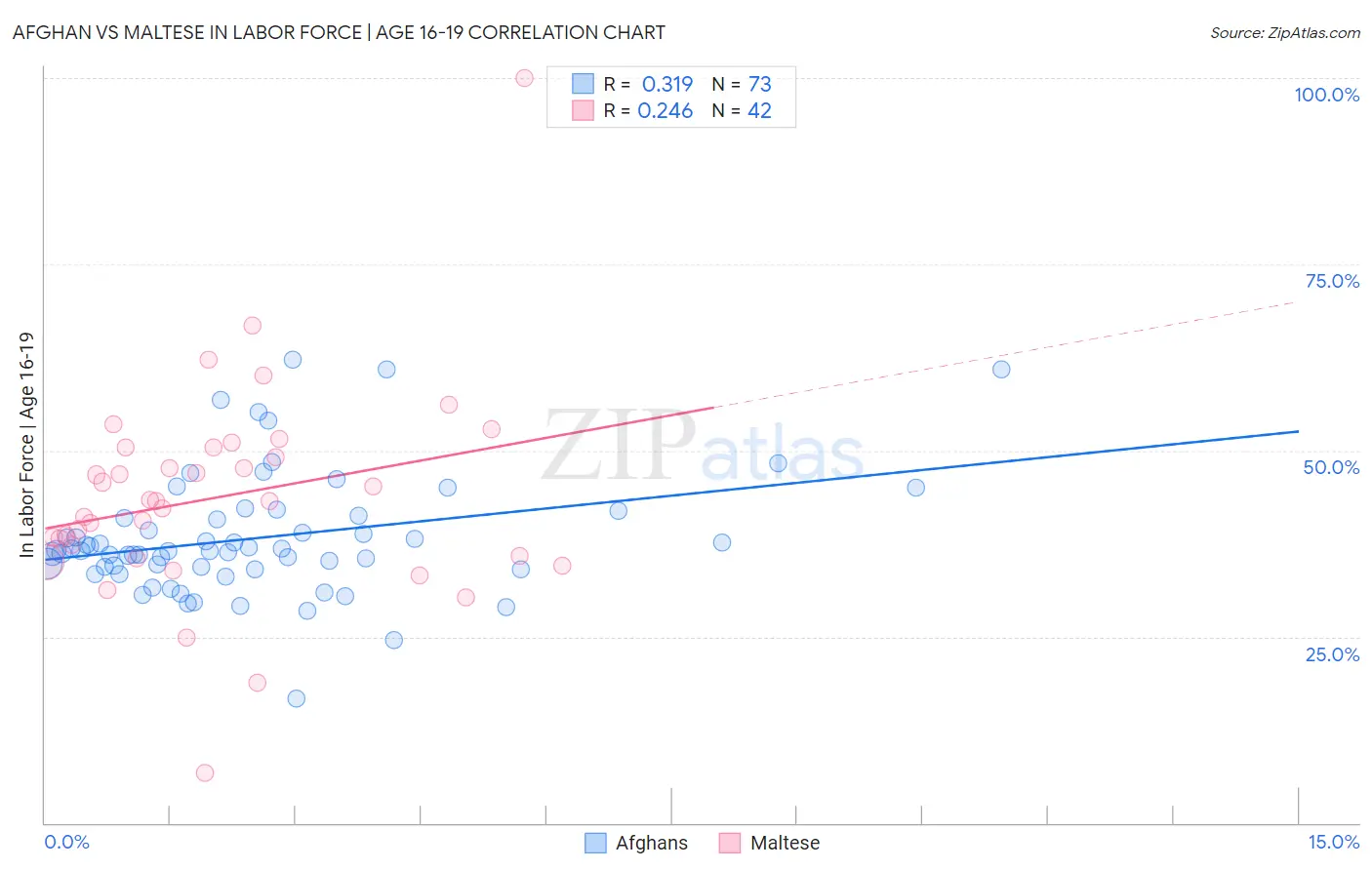 Afghan vs Maltese In Labor Force | Age 16-19