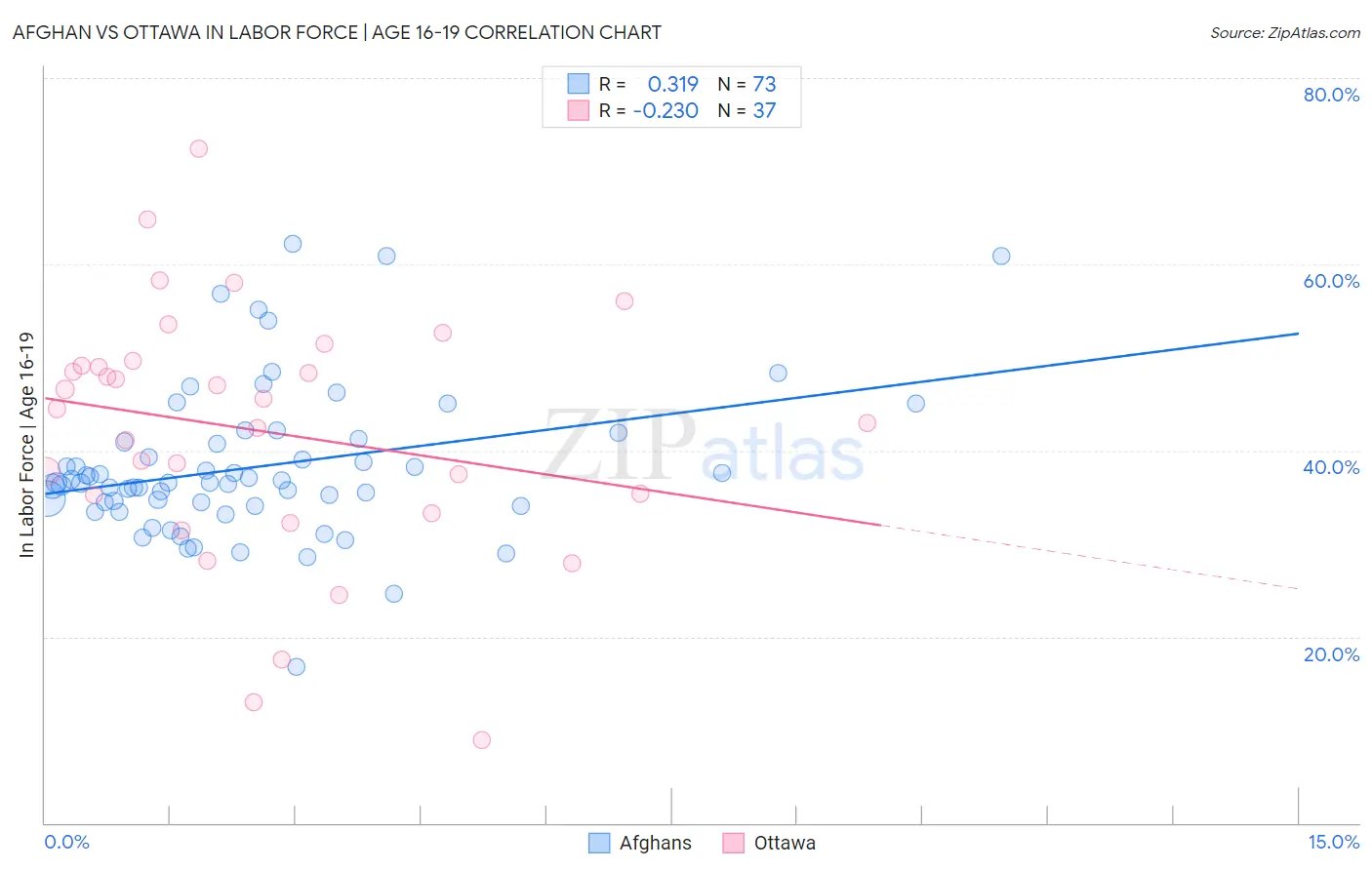 Afghan vs Ottawa In Labor Force | Age 16-19