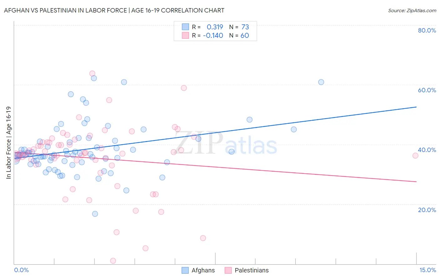 Afghan vs Palestinian In Labor Force | Age 16-19