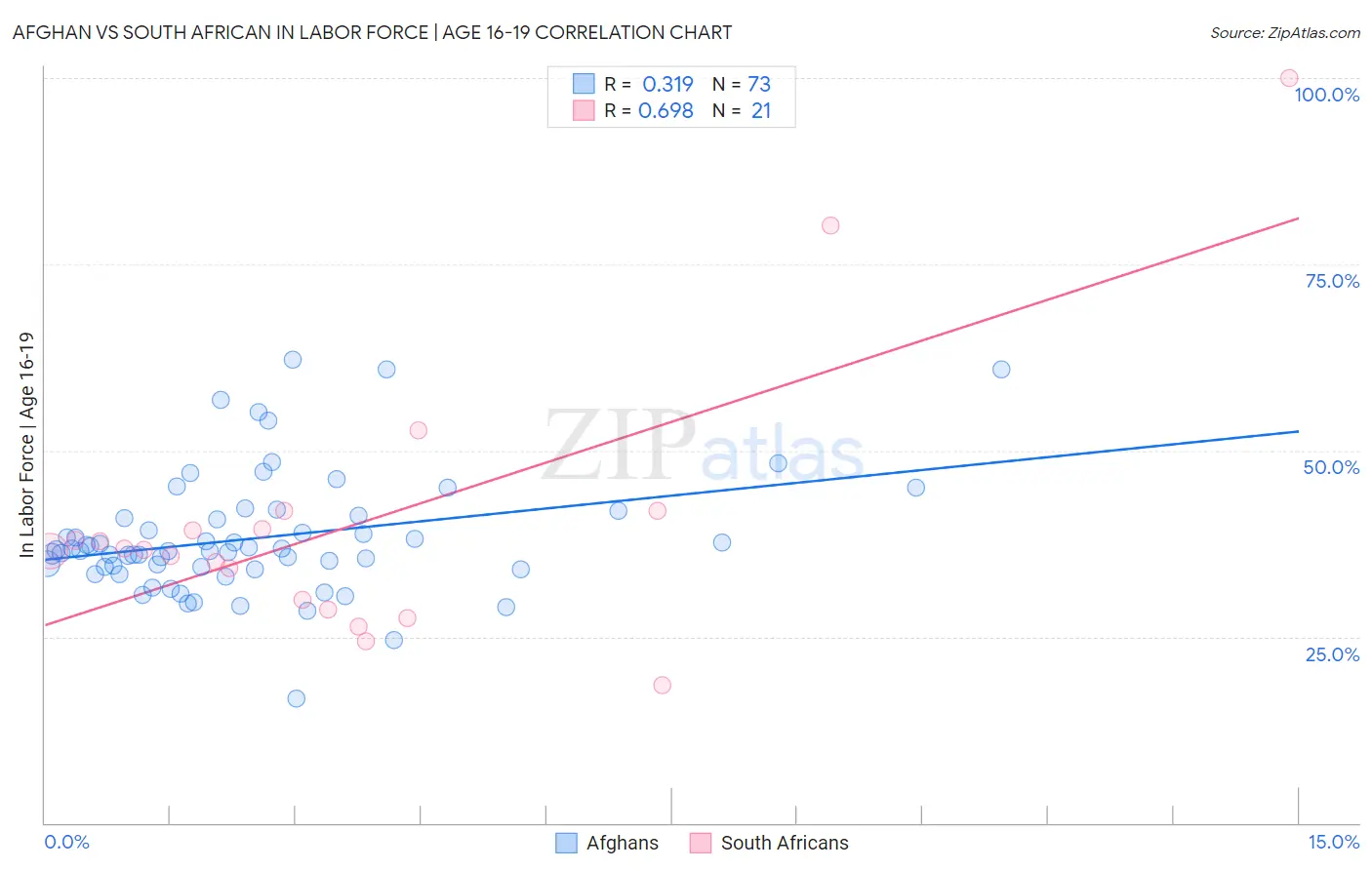 Afghan vs South African In Labor Force | Age 16-19