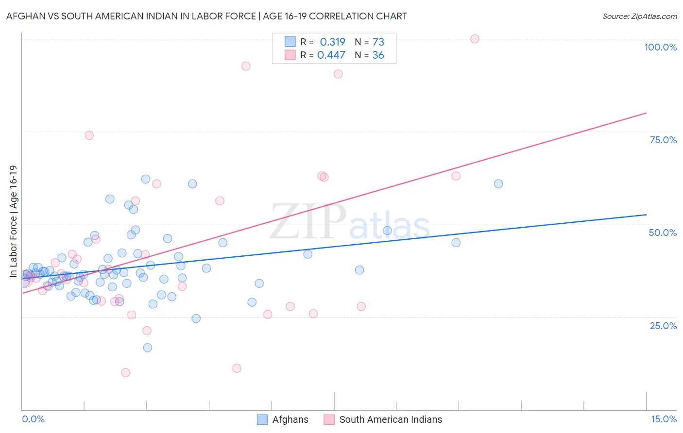 Afghan vs South American Indian In Labor Force | Age 16-19