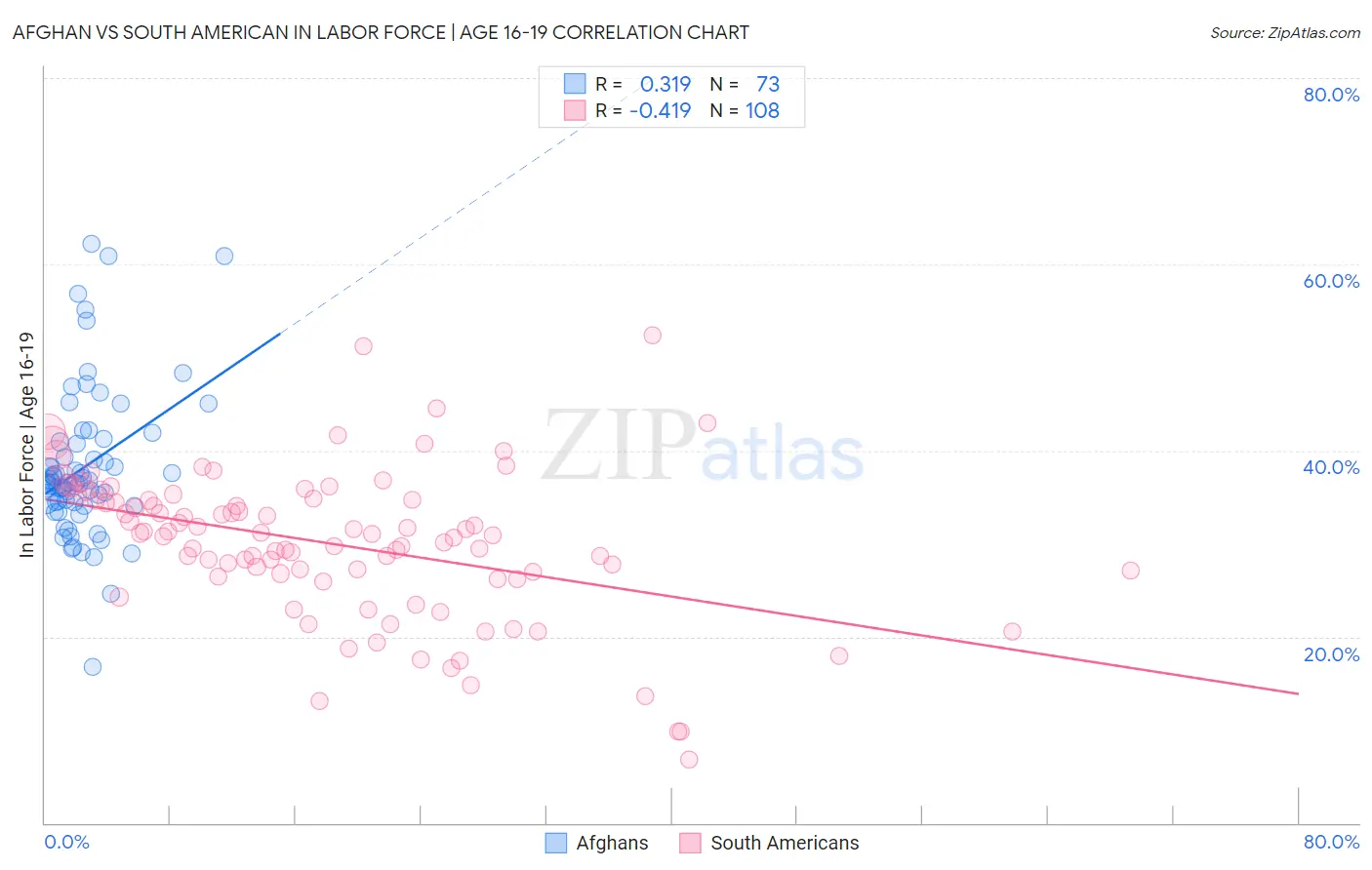 Afghan vs South American In Labor Force | Age 16-19