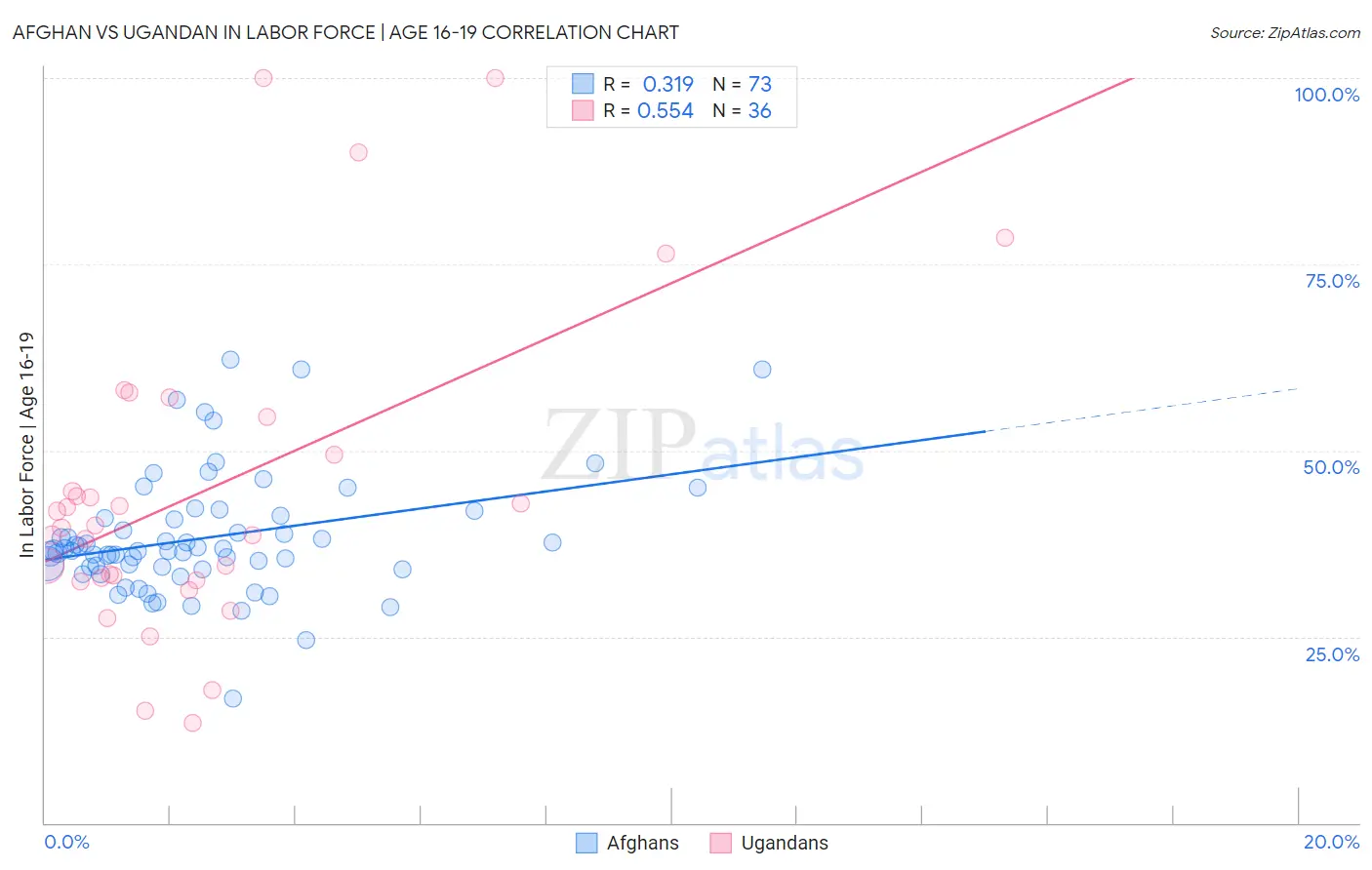 Afghan vs Ugandan In Labor Force | Age 16-19