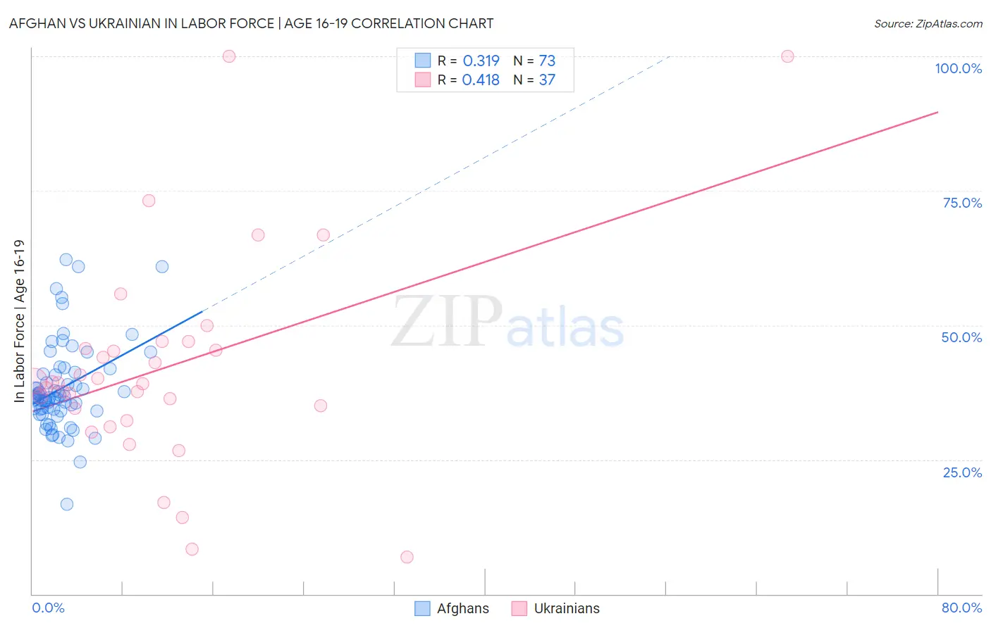 Afghan vs Ukrainian In Labor Force | Age 16-19