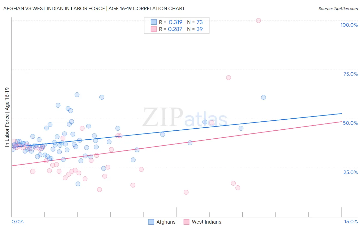 Afghan vs West Indian In Labor Force | Age 16-19