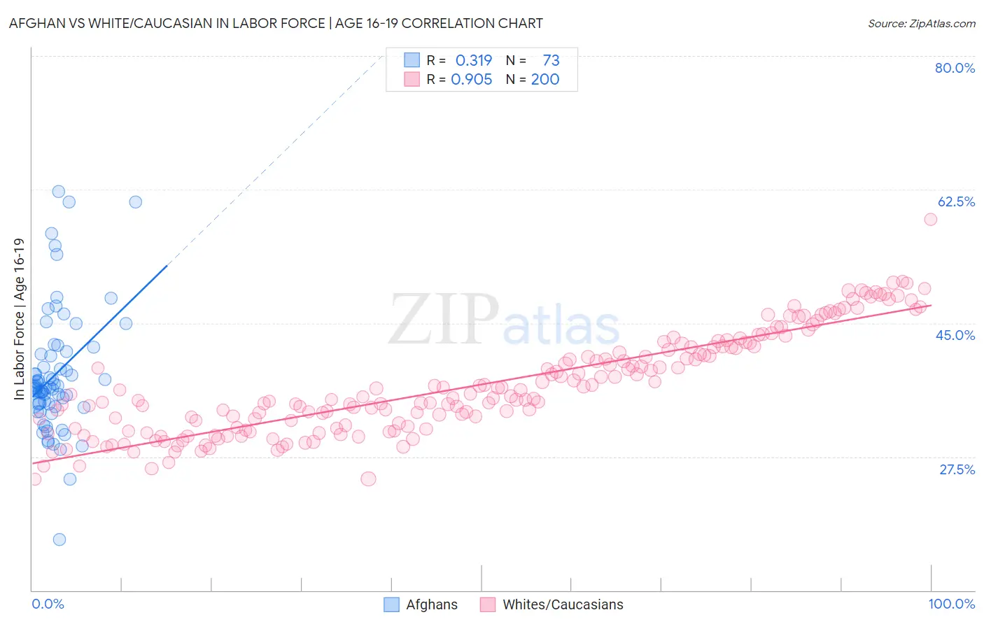 Afghan vs White/Caucasian In Labor Force | Age 16-19