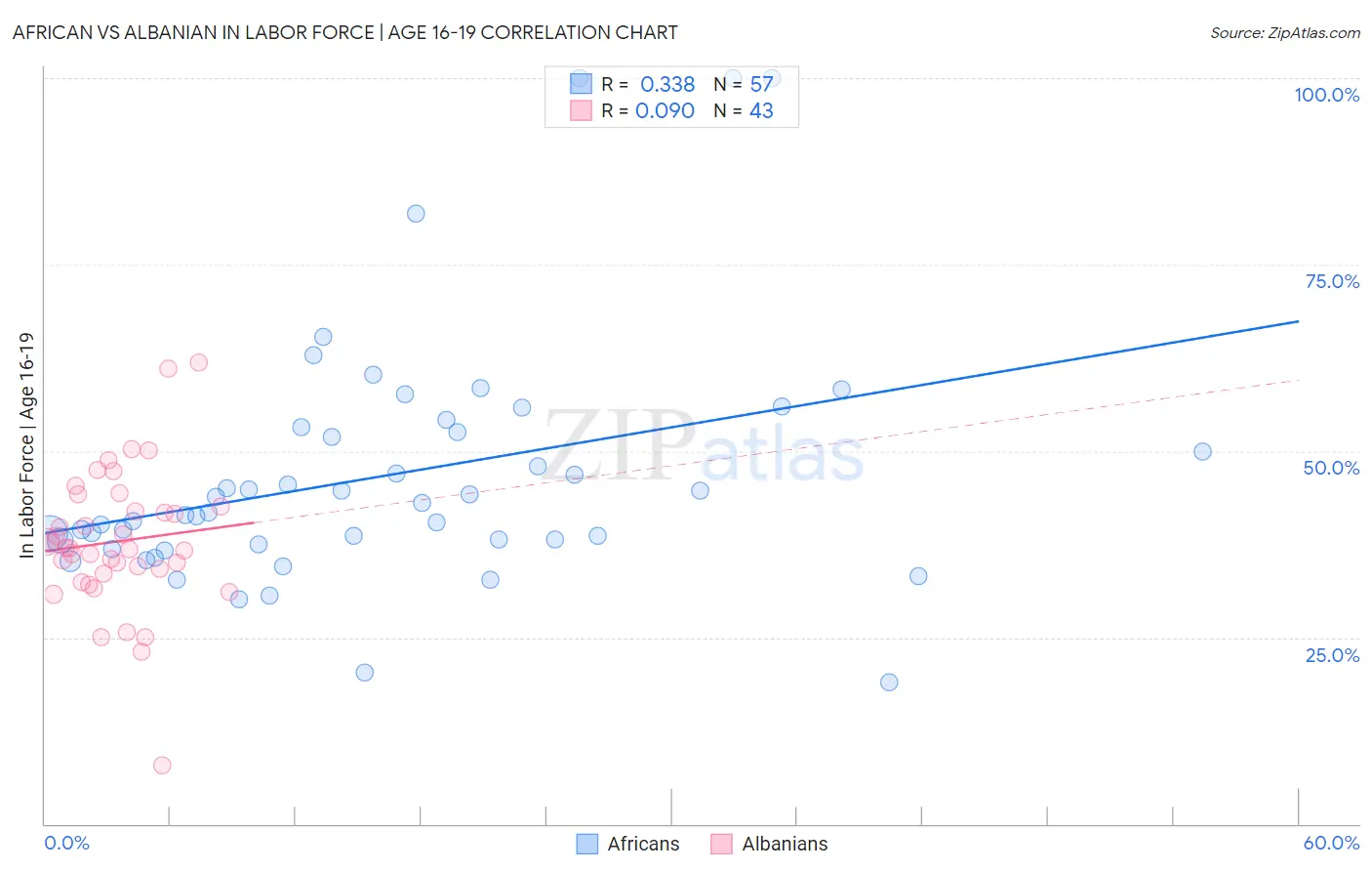 African vs Albanian In Labor Force | Age 16-19