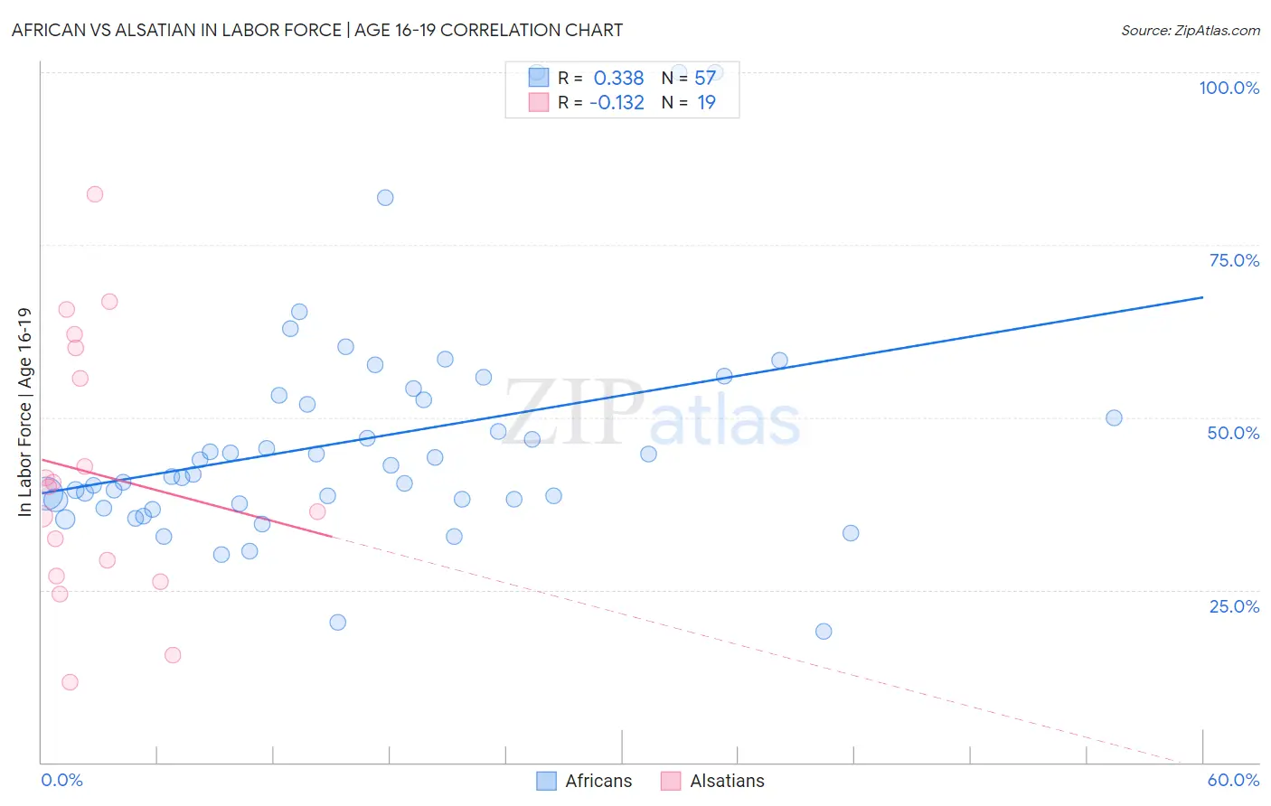 African vs Alsatian In Labor Force | Age 16-19