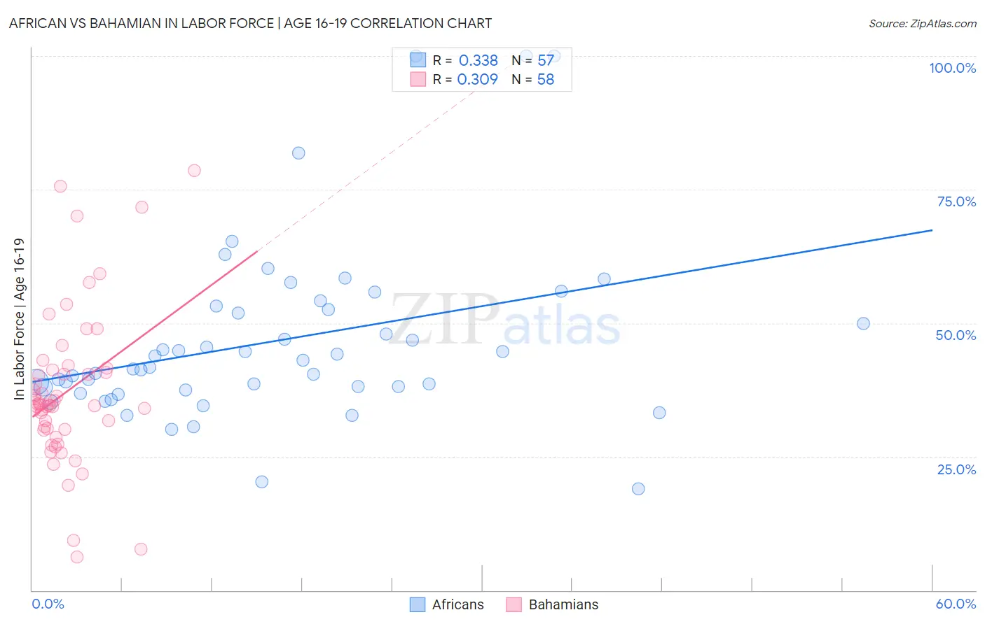 African vs Bahamian In Labor Force | Age 16-19