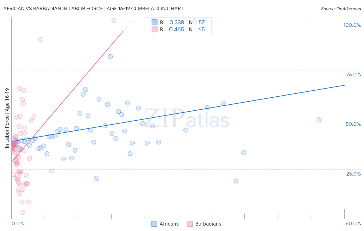 African vs Barbadian In Labor Force | Age 16-19