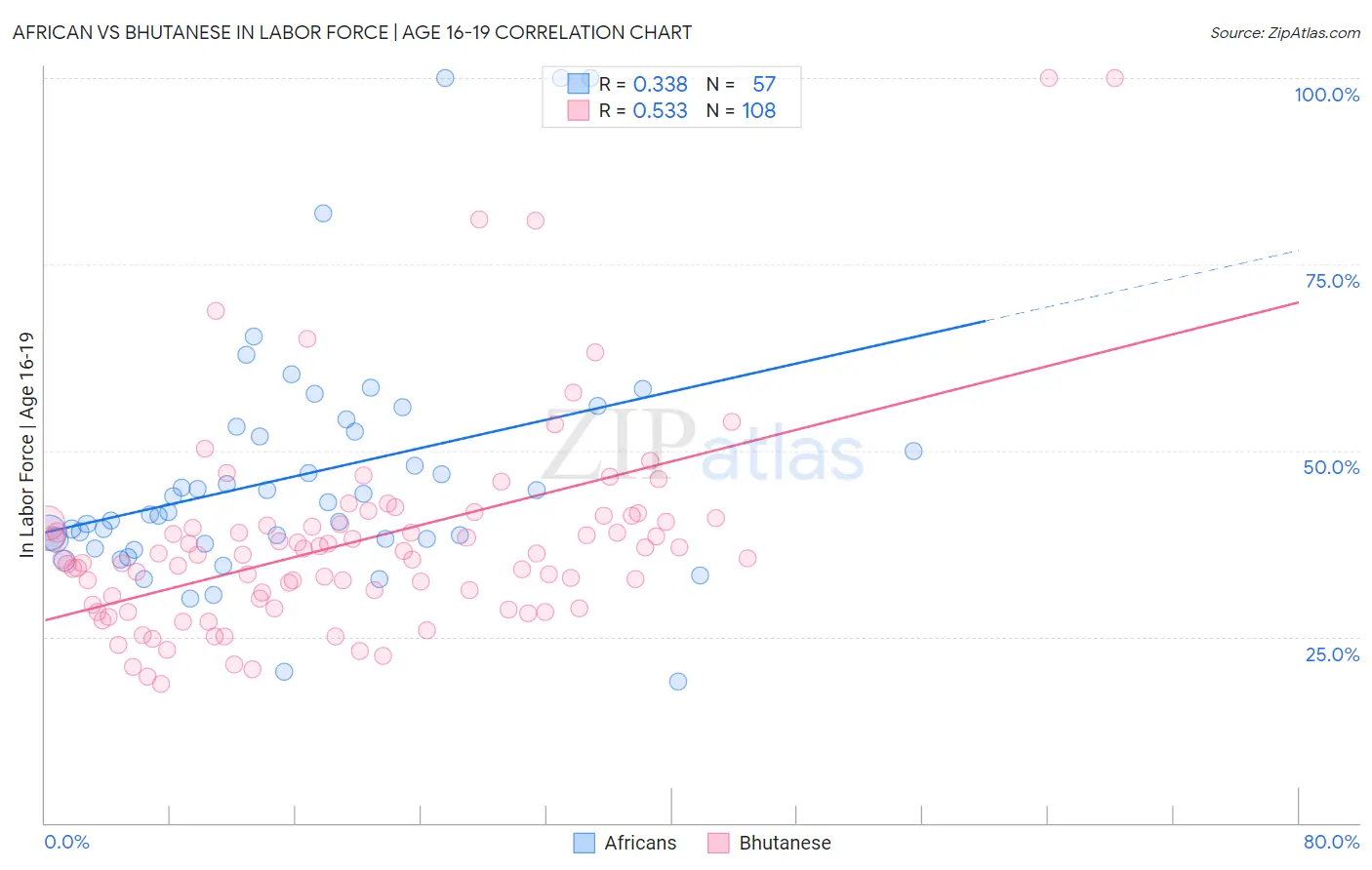 African vs Bhutanese In Labor Force | Age 16-19