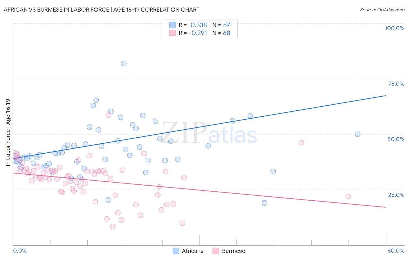 African vs Burmese In Labor Force | Age 16-19