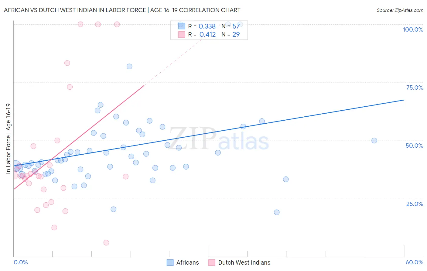 African vs Dutch West Indian In Labor Force | Age 16-19