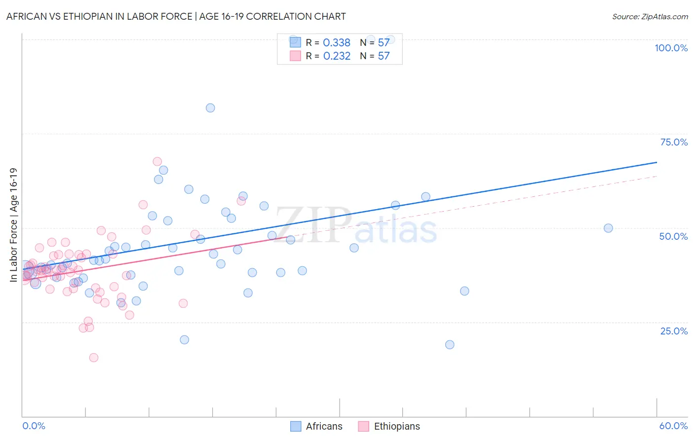 African vs Ethiopian In Labor Force | Age 16-19