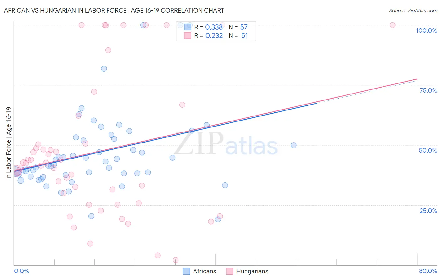 African vs Hungarian In Labor Force | Age 16-19